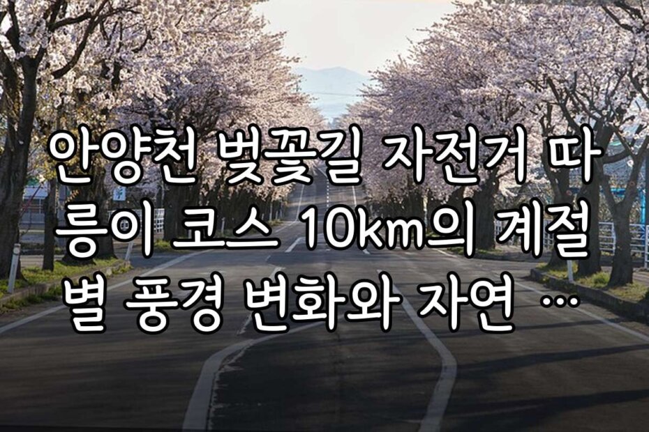 안양천 벚꽃길 자전거 따릉이 코스 10km의 계절별 풍경 변화와 자연 관찰 포인트