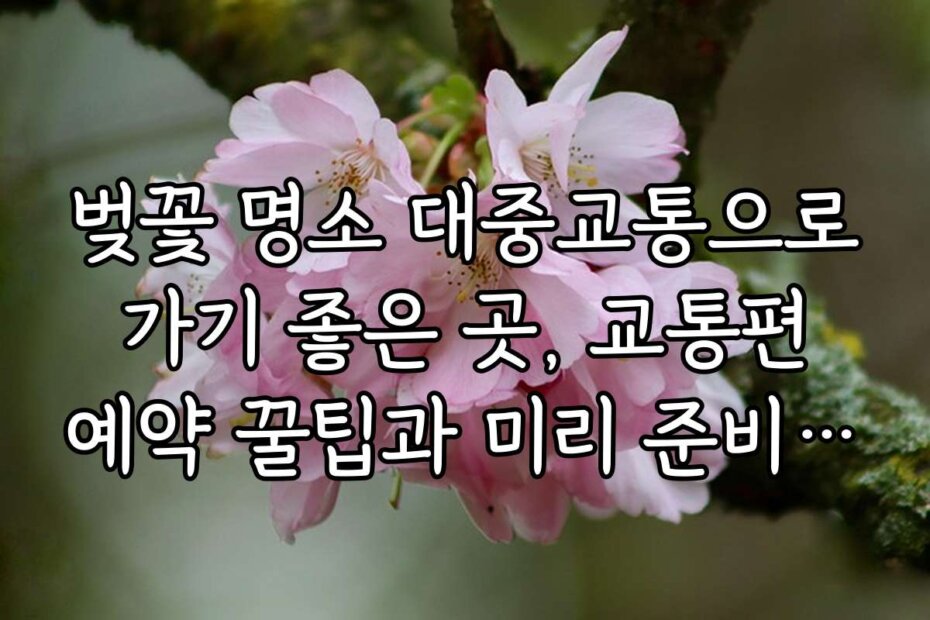 벚꽃 명소 대중교통으로 가기 좋은 곳, 교통편 예약 꿀팁과 미리 준비하는 방법