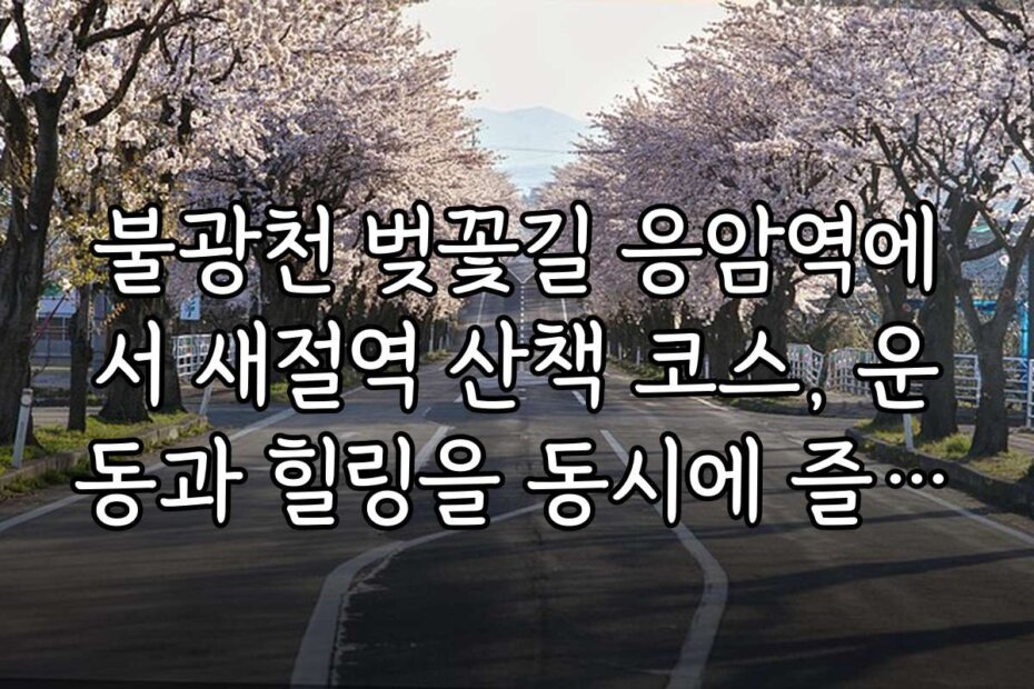 불광천 벚꽃길 응암역에서 새절역 산책 코스, 운동과 힐링을 동시에 즐기는 방법