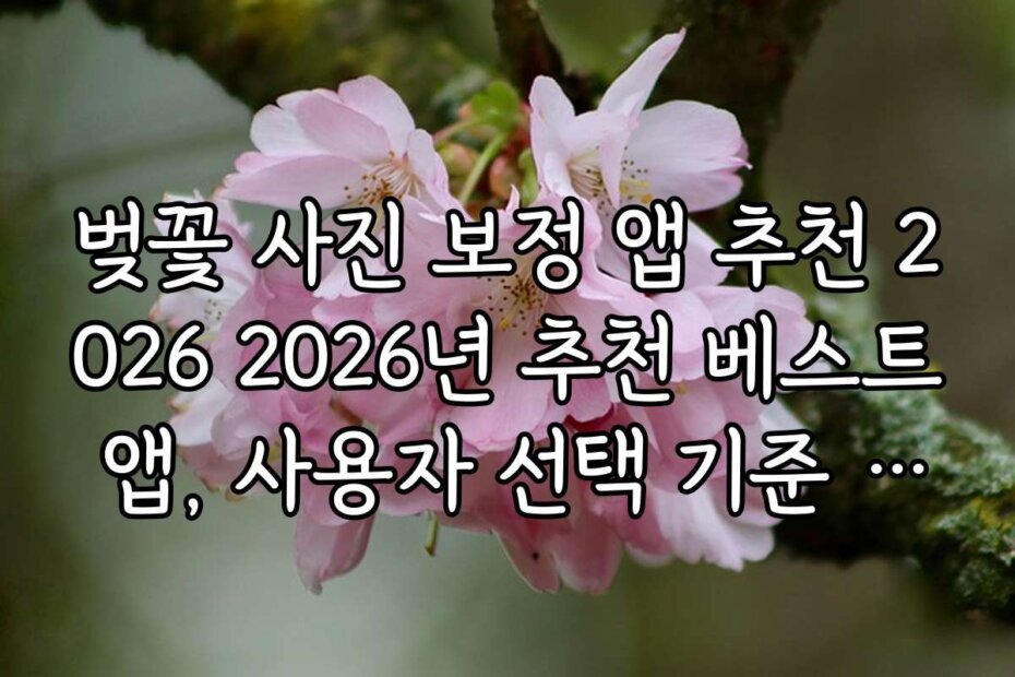 벚꽃 사진 보정 앱 추천 2026 2026년 추천 베스트 앱, 사용자 선택 기준 분석