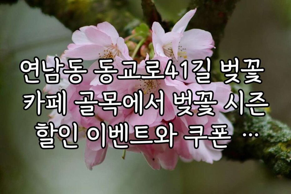 연남동 동교로41길 벚꽃 카페 골목에서 벚꽃 시즌 할인 이벤트와 쿠폰 정보