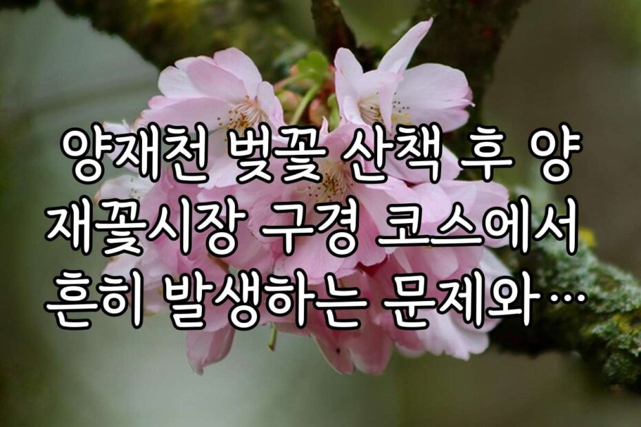 양재천 벚꽃 산책 후 양재꽃시장 구경 코스에서 흔히 발생하는 문제와 주의사항