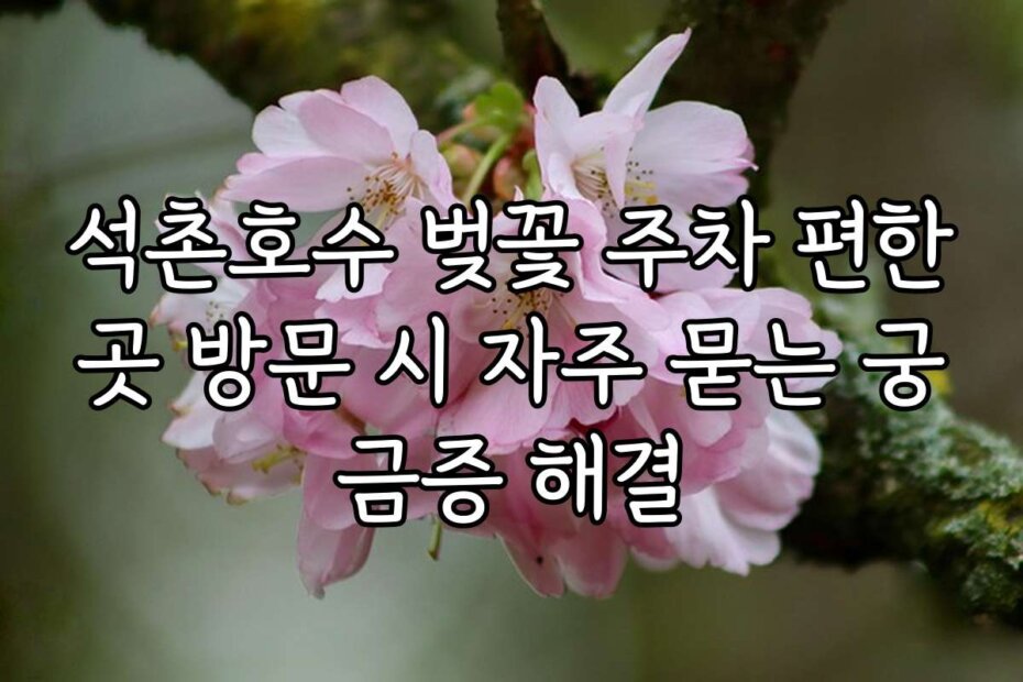 석촌호수 벚꽃 주차 편한곳 방문 시 자주 묻는 궁금증 해결