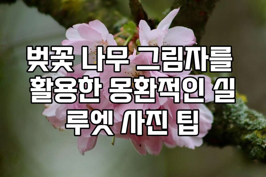 벚꽃 나무 그림자를 활용한 몽환적인 실루엣 사진 팁