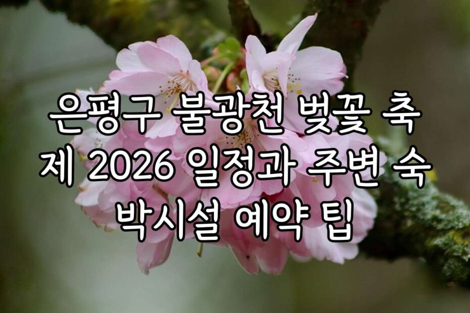 은평구 불광천 벚꽃 축제 2026 일정과 주변 숙박시설 예약 팁