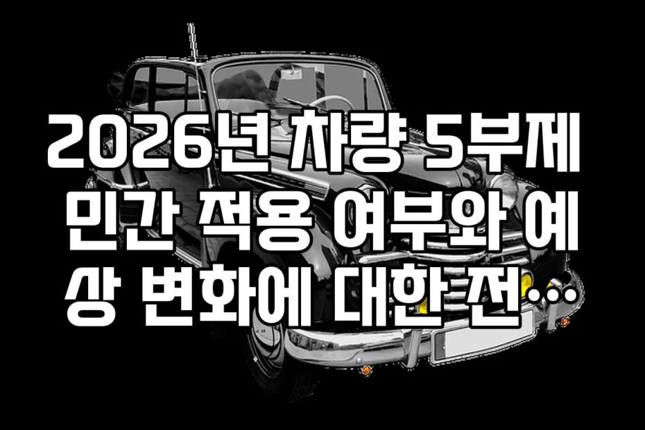 2026년 차량 5부제 민간 적용 여부와 예상 변화에 대한 전문가 의견