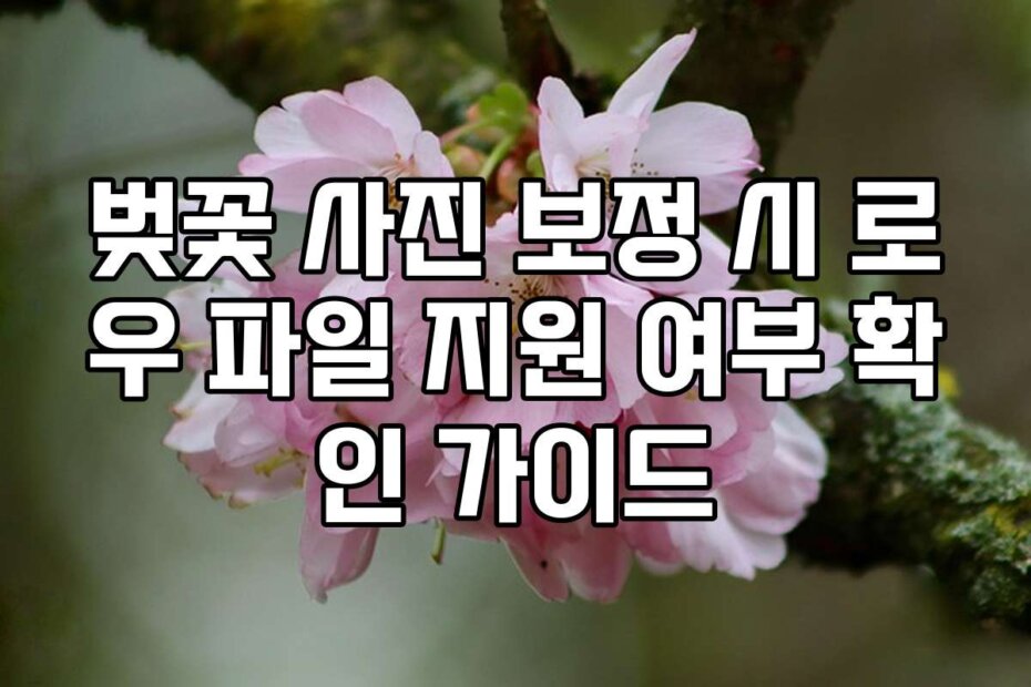 벚꽃 사진 보정 시 로우 파일 지원 여부 확인 가이드