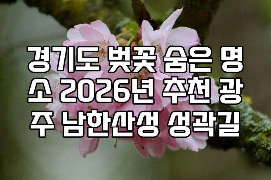 경기도 벚꽃 숨은 명소 2026년 추천 광주 남한산성 성곽길
