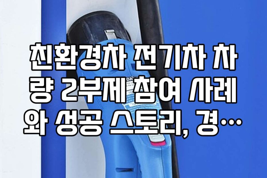 친환경차 전기차 차량 2부제 참여 사례와 성공 스토리, 경험담을 들어본다