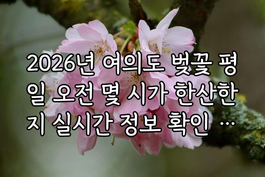 2026년 여의도 벚꽃 평일 오전 몇 시가 한산한지 실시간 정보 확인 방법
