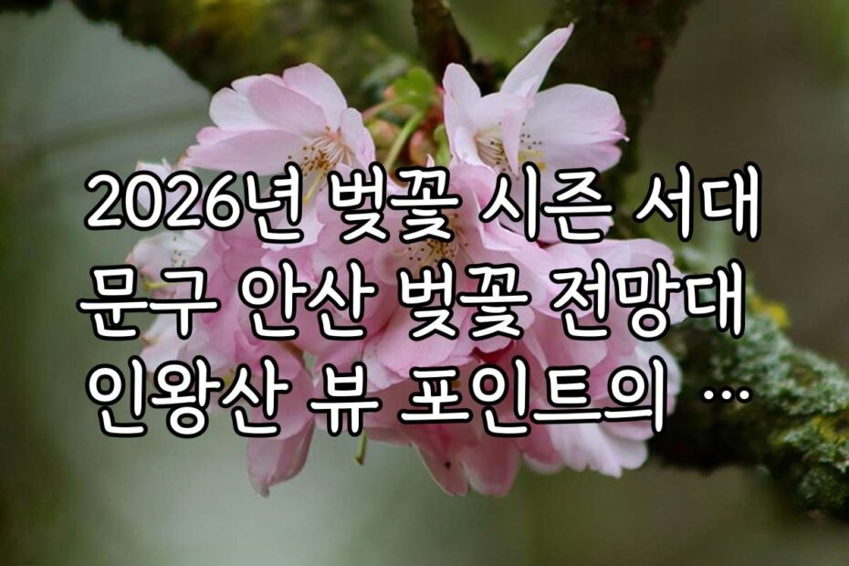 2026년 벚꽃 시즌 서대문구 안산 벚꽃 전망대 인왕산 뷰 포인트의 추천 방문 코스와 여행 일정은 어떻게 계획할까