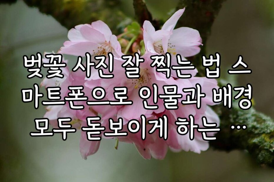 벚꽃 사진 잘 찍는 법 스마트폰으로 인물과 배경 모두 돋보이게 하는 방법