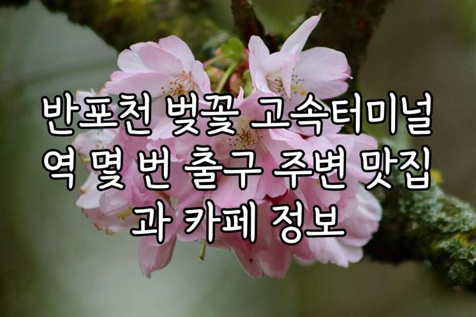 반포천 벚꽃 고속터미널역 몇 번 출구 주변 맛집과 카페 정보