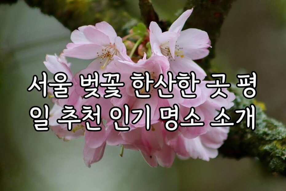 서울 벚꽃 한산한 곳 평일 추천 인기 명소 소개