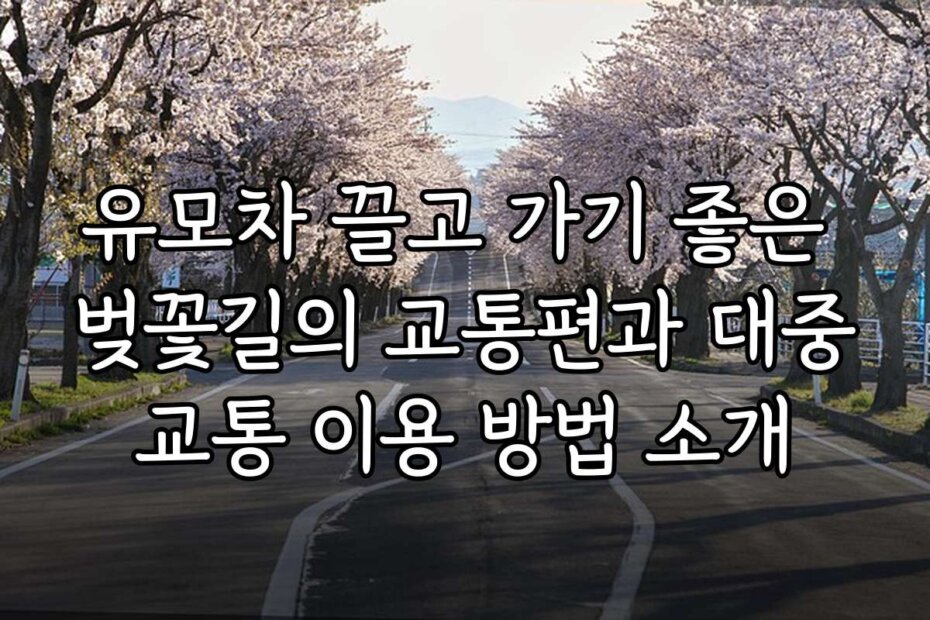 유모차 끌고 가기 좋은 벚꽃길의 교통편과 대중교통 이용 방법 소개