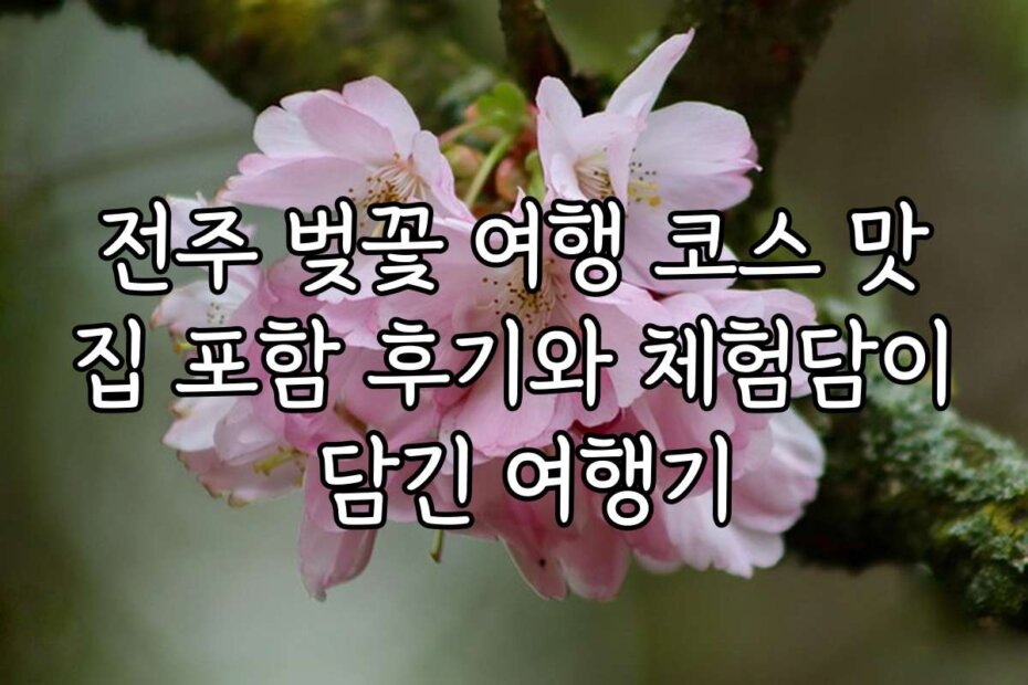 전주 벚꽃 여행 코스 맛집 포함 후기와 체험담이 담긴 여행기