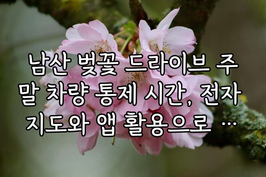 남산 벚꽃 드라이브 주말 차량 통제 시간, 전자 지도와 앱 활용으로 편리하게 방문하기