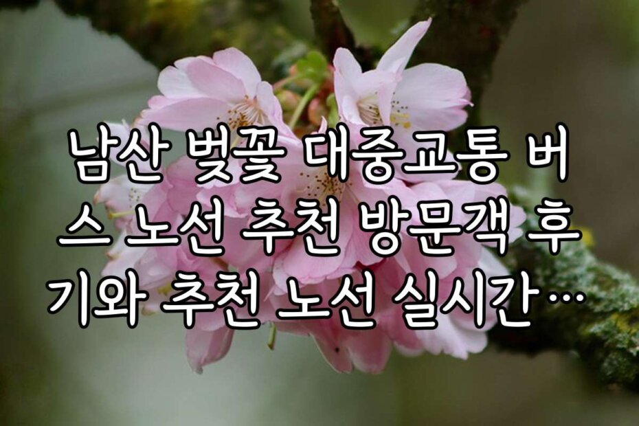 남산 벚꽃 대중교통 버스 노선 추천 방문객 후기와 추천 노선 실시간 리뷰