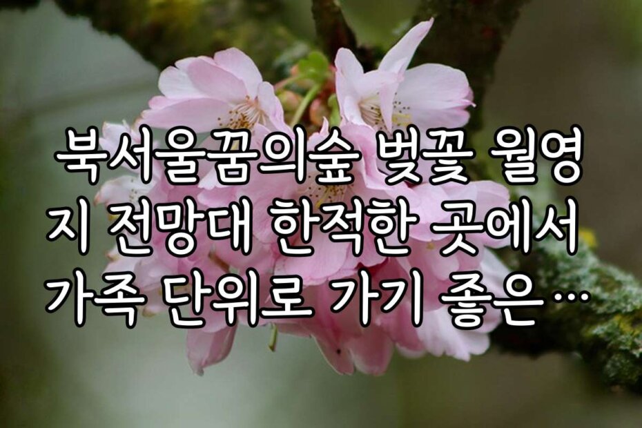북서울꿈의숲 벚꽃 월영지 전망대 한적한 곳에서 가족 단위로 가기 좋은 추천 시간대
