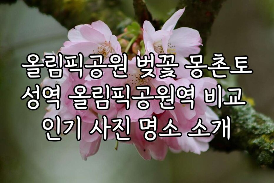 올림픽공원 벚꽃 몽촌토성역 올림픽공원역 비교 인기 사진 명소 소개