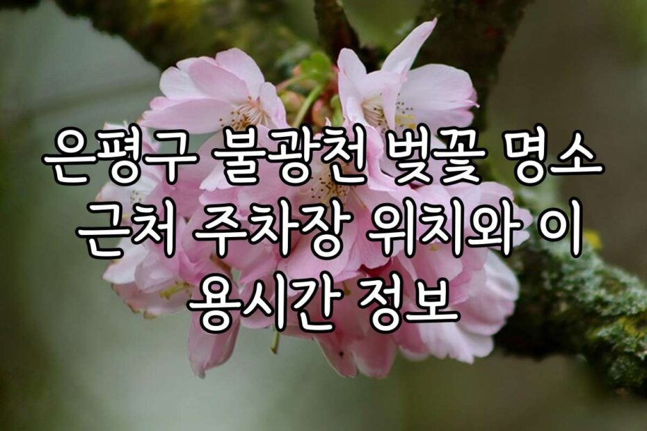 은평구 불광천 벚꽃 명소 근처 주차장 위치와 이용시간 정보