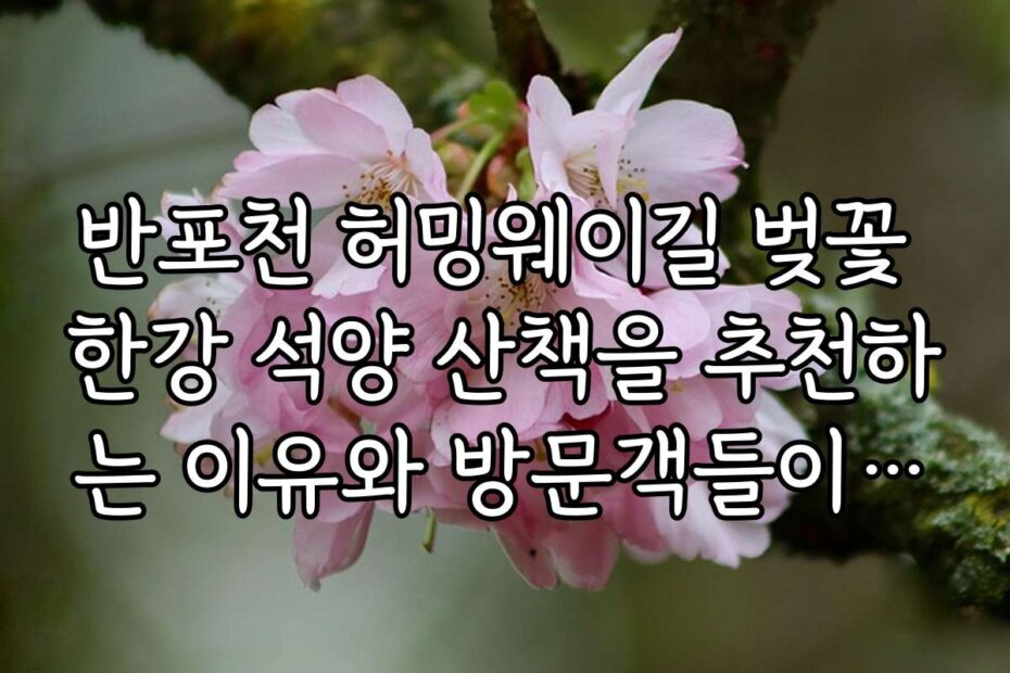반포천 허밍웨이길 벚꽃 한강 석양 산책을 추천하는 이유와 방문객들이 남긴 생생한 후기들