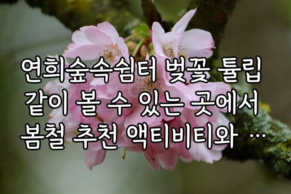 연희숲속쉼터 벚꽃 튤립 같이 볼 수 있는 곳에서 봄철 추천 액티비티와 즐길 거리
