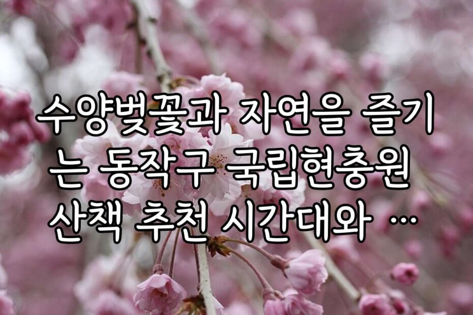 수양벚꽃과 자연을 즐기는 동작구 국립현충원 산책 추천 시간대와 노하우