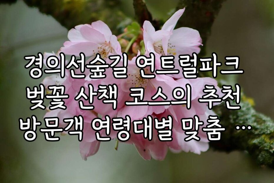 경의선숲길 연트럴파크 벚꽃 산책 코스의 추천 방문객 연령대별 맞춤 팁과 가이드