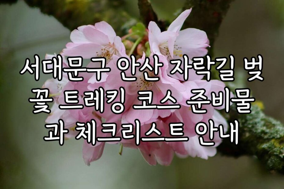 서대문구 안산 자락길 벚꽃 트레킹 코스 준비물과 체크리스트 안내