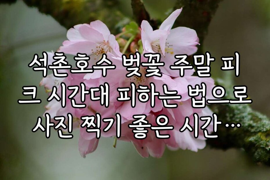 석촌호수 벚꽃 주말 피크 시간대 피하는 법으로 사진 찍기 좋은 시간대와 팁