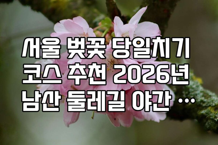 서울 벚꽃 당일치기 코스 추천 2026년 남산 둘레길 야간 조명 산책 경로