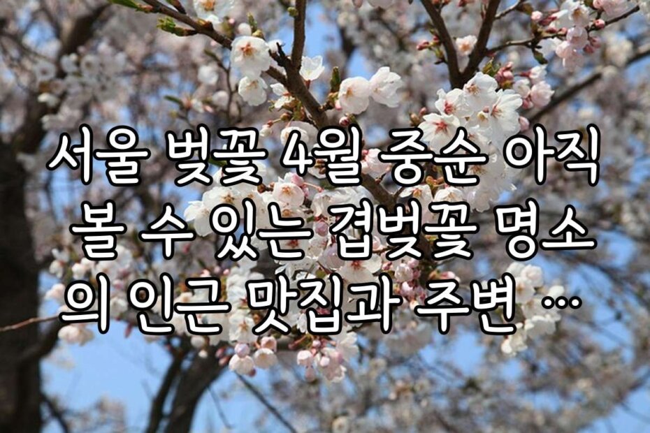 서울 벚꽃 4월 중순 아직 볼 수 있는 겹벚꽃 명소의 인근 맛집과 주변 관광지 소개