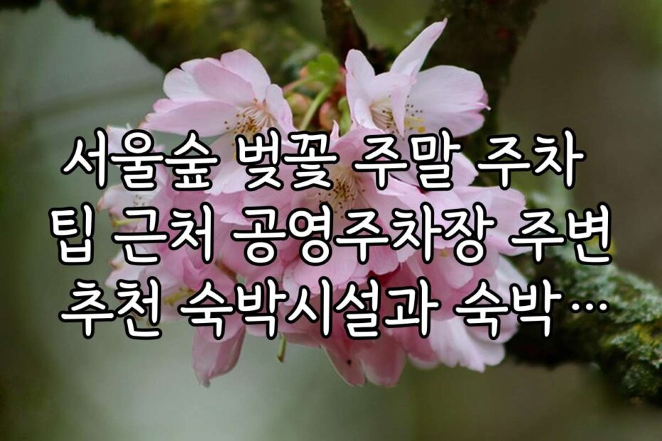 서울숲 벚꽃 주말 주차 팁 근처 공영주차장 주변 추천 숙박시설과 숙박 요금 정보