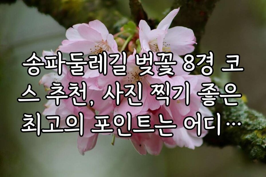 송파둘레길 벚꽃 8경 코스 추천, 사진 찍기 좋은 최고의 포인트는 어디인가