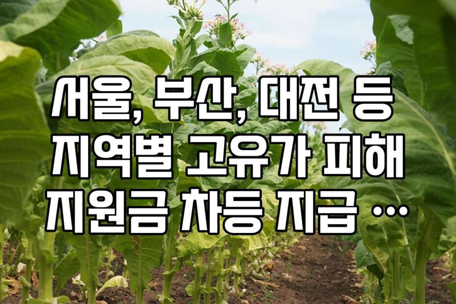 서울, 부산, 대전 등 지역별 고유가 피해지원금 차등 지급 기준