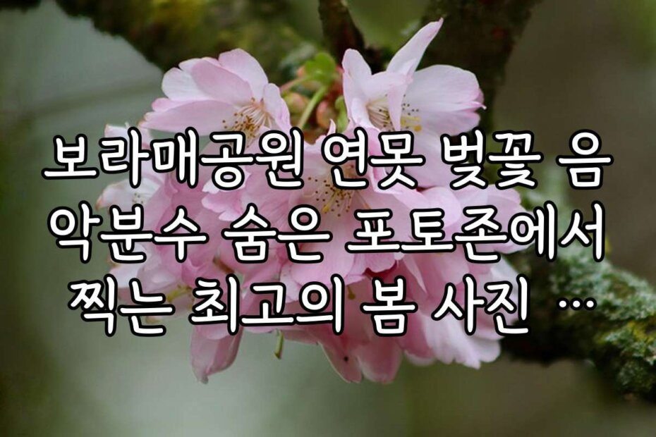 보라매공원 연못 벚꽃 음악분수 숨은 포토존에서 찍는 최고의 봄 사진 촬영 팁