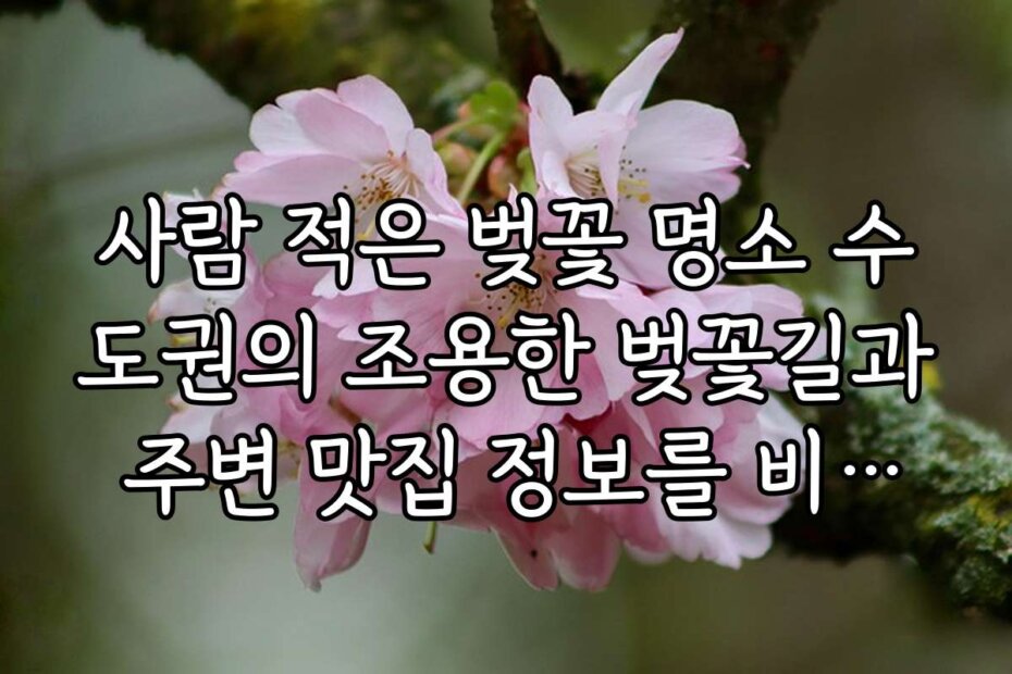 사람 적은 벚꽃 명소 수도권의 조용한 벚꽃길과 주변 맛집 정보를 비교해 드립니다