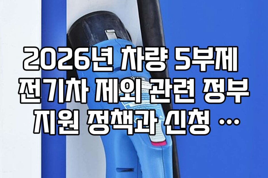 2026년 차량 5부제 전기차 제외 관련 정부 지원 정책과 신청 방법을 안내합니다