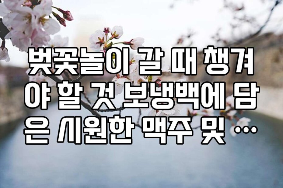 벚꽃놀이 갈 때 챙겨야 할 것 보냉백에 담은 시원한 맥주 및 탄산