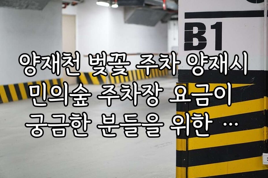 양재천 벚꽃 주차 양재시민의숲 주차장 요금이 궁금한 분들을 위한 실시간 가격 현황