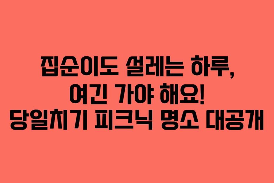 집순이도 설레는 하루, 여긴 가야 해요! 당일치기 피크닉 명소 대공개