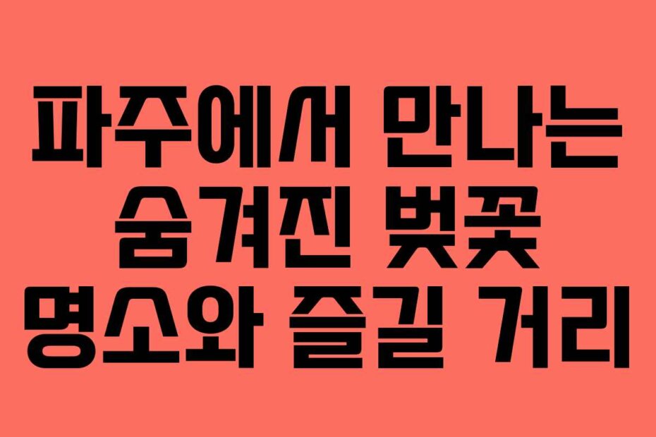 파주에서 만나는 숨겨진 벚꽃 명소와 즐길 거리