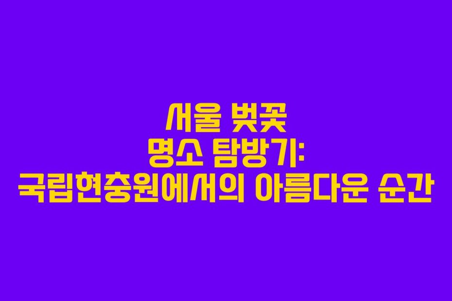 서울 벚꽃 명소 탐방기: 국립현충원에서의 아름다운 순간