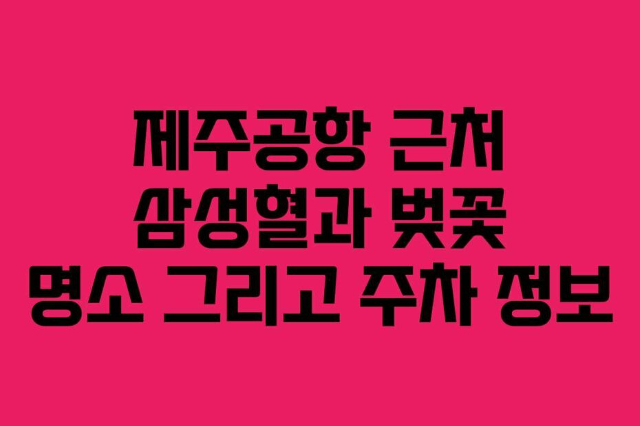 제주공항 근처 삼성혈과 벚꽃 명소 그리고 주차 정보