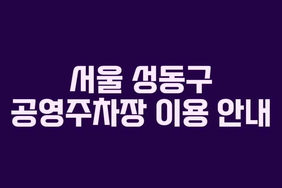 서울 성동구 공영주차장 이용 안내