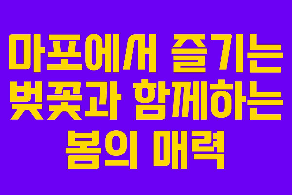 마포에서 즐기는 벚꽃과 함께하는 봄의 매력