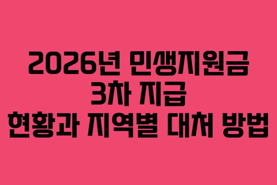 2026년 민생지원금 3차 지급 현황과 지역별 대처 방법