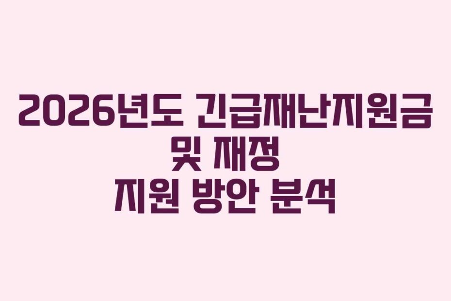 2026년도 긴급재난지원금 및 재정 지원 방안 분석