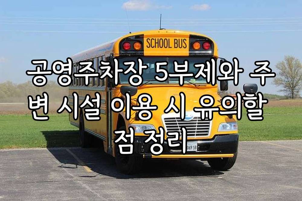 공영주차장 5부제와 주변 시설 이용 시 유의할 점 정리